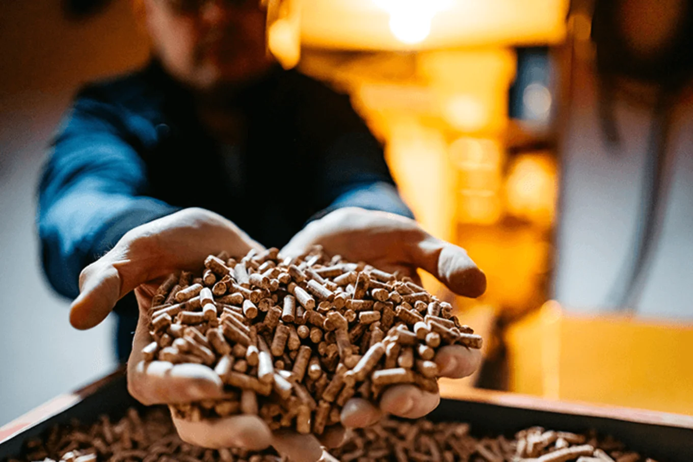Pellets für eine Holzheizung