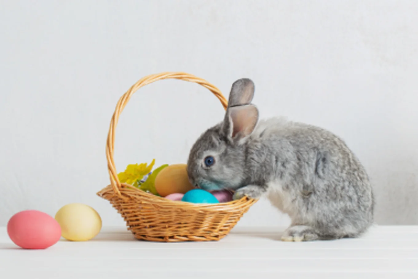 Osterhase und Eierkorb